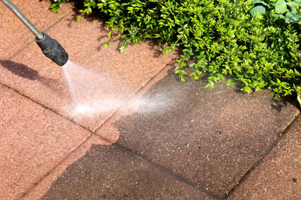 Best Best Pressure Washing Companies  in Pimmit Hills, VA